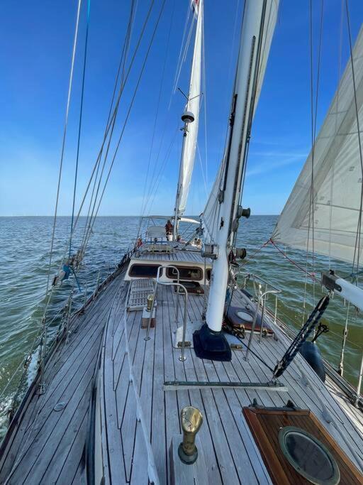 Classic Sailing Ship In Center Of Enkhuizen! Extérieur photo